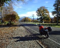 �s�v�c�Ȃقǂɐ����L�����Ȃ��X���݁B