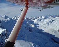 �����̌��Ԃ����C���E�э���ł���B