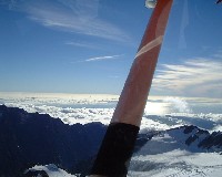 �C���������I