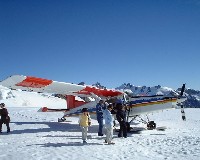 �����ƃX�L�[�ۂ��̂��t���Ă���B