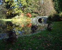 �l�ɂ̓A�q���ƃJ���̋�ʂ����Ȃ��B