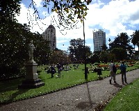 �I�[�N�����h�̃A���o�[�g�p�[�N�B�O���Ԃ����Q���Ă��܂����͓̂������B