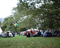 T�V���c�j�̔w���ɏ����ꂽ�w����Ȃ�x���Ӗ��[�B