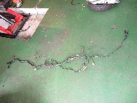 �^�[���Ђ�����l�Q