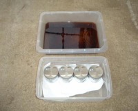 ��̉��ꂽ�g���[�ɒ��ځB