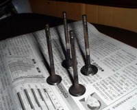 �J�[�{�����Ђ��݂����ɂ��Ă���o���u���������B