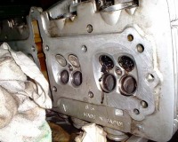 ������̕r�l�ߊC�ۂ݂����B