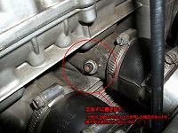 �����Ƃ���[��͎����������񂾂�B