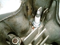 �R�Ď��ɂ���Ȃ̂����������厖���B