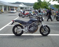 ���肰�Ȃ��|���B�z�C��FCR�B���A�̓I�[�����Y�B���悳���Ă������������ǁA�悭�Ȃ��邵�A�����I