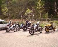 5�������Č����̂ɁA�ƂĂ����������񂾁B