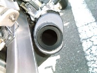 ���[�I�B�����̃G�L�p�C�͒��łƂ���������Ă���̂����A�����ɂ��Ђ݂��H���{���ꂽ�炵���B