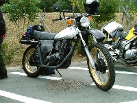 �A���~�����b�L���m�F���Ȃ���������ǁA�݂��P������^���N���f�G�B