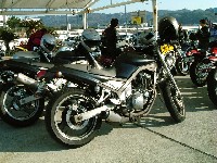 STD�����ĕ���܂����B