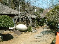 �����������i�B���q���񂪏��Ȃ������̕������͋C���ǂ��ł��B