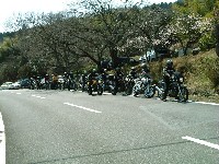 �~�̉Ԃ��炫�n�߂Ă��܂��B�����ꏊ�������͉Ԃł����ς��ɂȂ��B