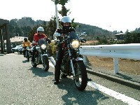 Fish eye����̃g���u�������ɂ�����̂����ގ��B���J�ɂ����Ȃ苭���l�ł��B