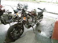 ���̐F�A�l�I�ɂƂĂ��D���ł��B�J�ɑł���Ă��������B