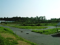 �{���ɏ������B��r�C�ʎԂɂ͋��������c�B