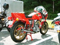 �t�@���l���ɔ킹��ꂽ�v�O���[�u���ǂ����͋C�B