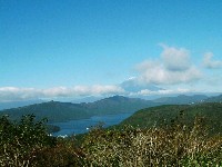 ������c�ł͂���܂���B11���ɂ͊��ɐቻ�ς��Ă����x�m�R�B