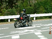 ���キ����̔w���B