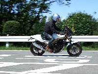 �N�G�̓������i�`�������ȃ��C�f�B���O�E�t�H�[���B