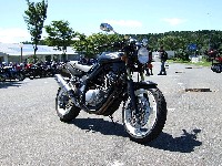 ���z�C�[�������Ẵ��[�Y�\�b�N�X���i��j��f�i�Ƃ�����B