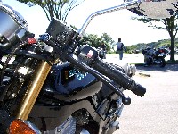 �g�[�[���A�K�Ȃ�ĂЂƂ������Ă��Ȃ��B