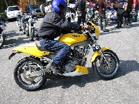 �������悷��The Simple���B