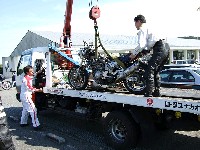 �N�ɋ��߂���ł��Ȃ��A�ב�ɏオ���Ă���`������Г펁�B