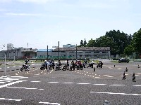 ���V���̓��P�B