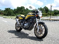 �����ł����Ă����������Ȃ��J���[�����O�ł��B�V�[�g�ɂ̓P�j�[�E�V�j�A�̃T�C������B