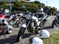 �䂪���炢�덆�B�ԐύH��d���i�΁j