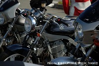 �J�R�C�C�B�v���Ȃ݂̍\�}�̎B����B�������Ǘ��l�̎B�e�ł͂���܂���B