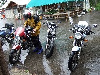 �N�G�̓������͓��ł��Ȃ��B