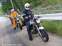 �����ގ��̃A���o�����ʐ^��q�؁B