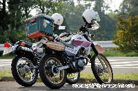 �������ł͖��G�o�C�N�B