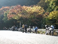 �V���O���Y�ɍ������āA�r�b�O�c�C��3��B�ʂȑI���ł���Ƃ��낪���ʓ_�B