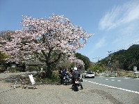 �����J�B�V�C����X�B