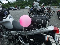 taka����������ɁA�u�G������ł����ǂ��v�Ƃ̂��܂��Ă���܂�����