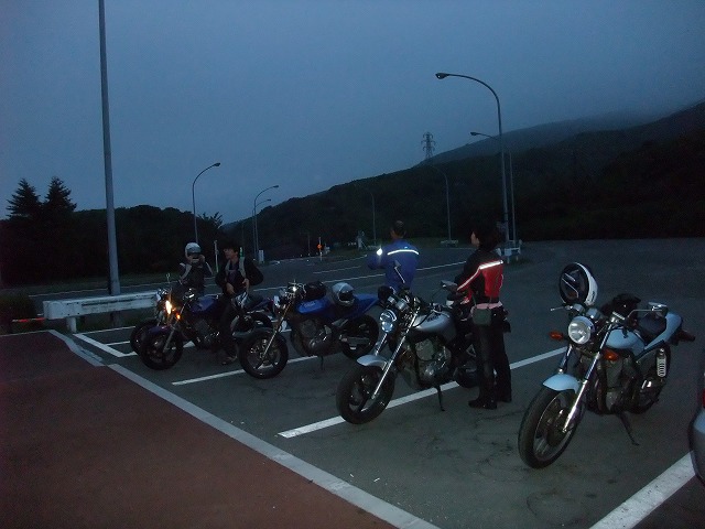 ���������Ă���͓����̖ҏ����a�炬�A���H�̈ɓ��X�J�ł͔������قǂł����B