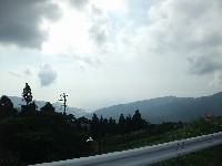 �Ƃ肠�����A�i�F�͂��ꂢ�ł����B