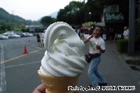 �킳�у\�t�g�B�o�b�N�ł����񎁂������ڂ��Ă邗