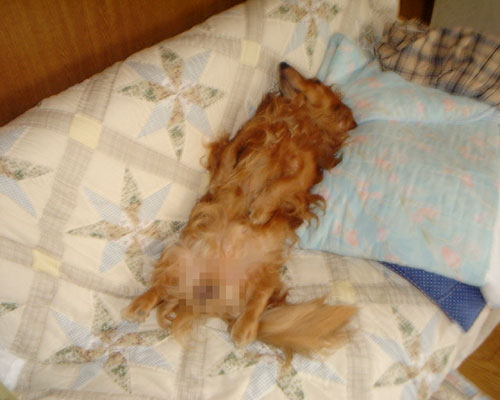 �ꕔ����K���B