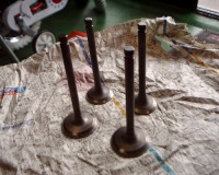 IN�͈�{��3,140�~�BEX��3,890�~�B����ό��\�����ȁc�B