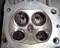 �l�̂͏����^�����ǁA2�^�ȍ~�̓o���u�a���̂��̂��傫���Ȃ��Ă���炵���B���H���Ă����\�I�ɋy�΂Ȃ������c�B